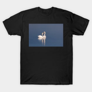 Valentine's swans T-Shirt